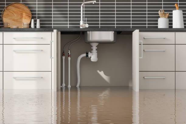 Best Flood restoration services  in Spanay, WA