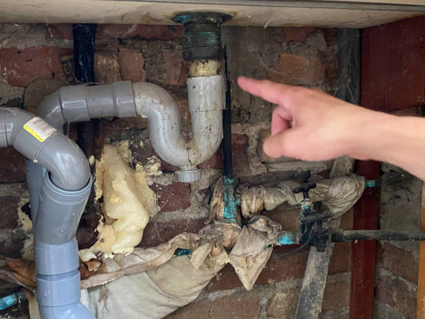 Best Mold removal after water damage  in Spanay, WA