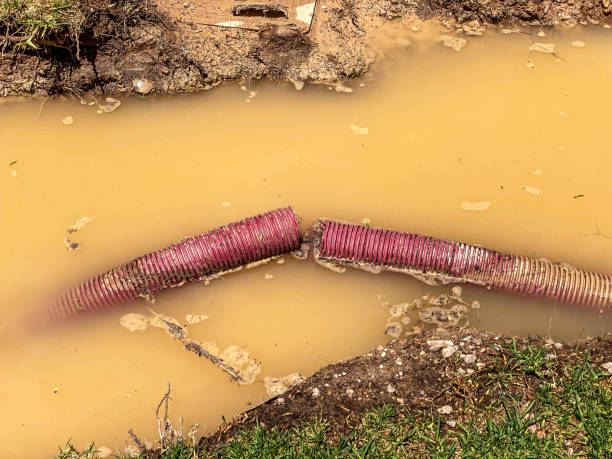 Best Water damage restoration experts  in Spanay, WA