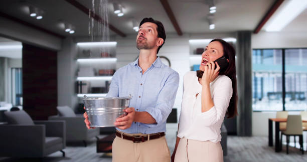 Best Basement water damage restoration  in Spanay, WA